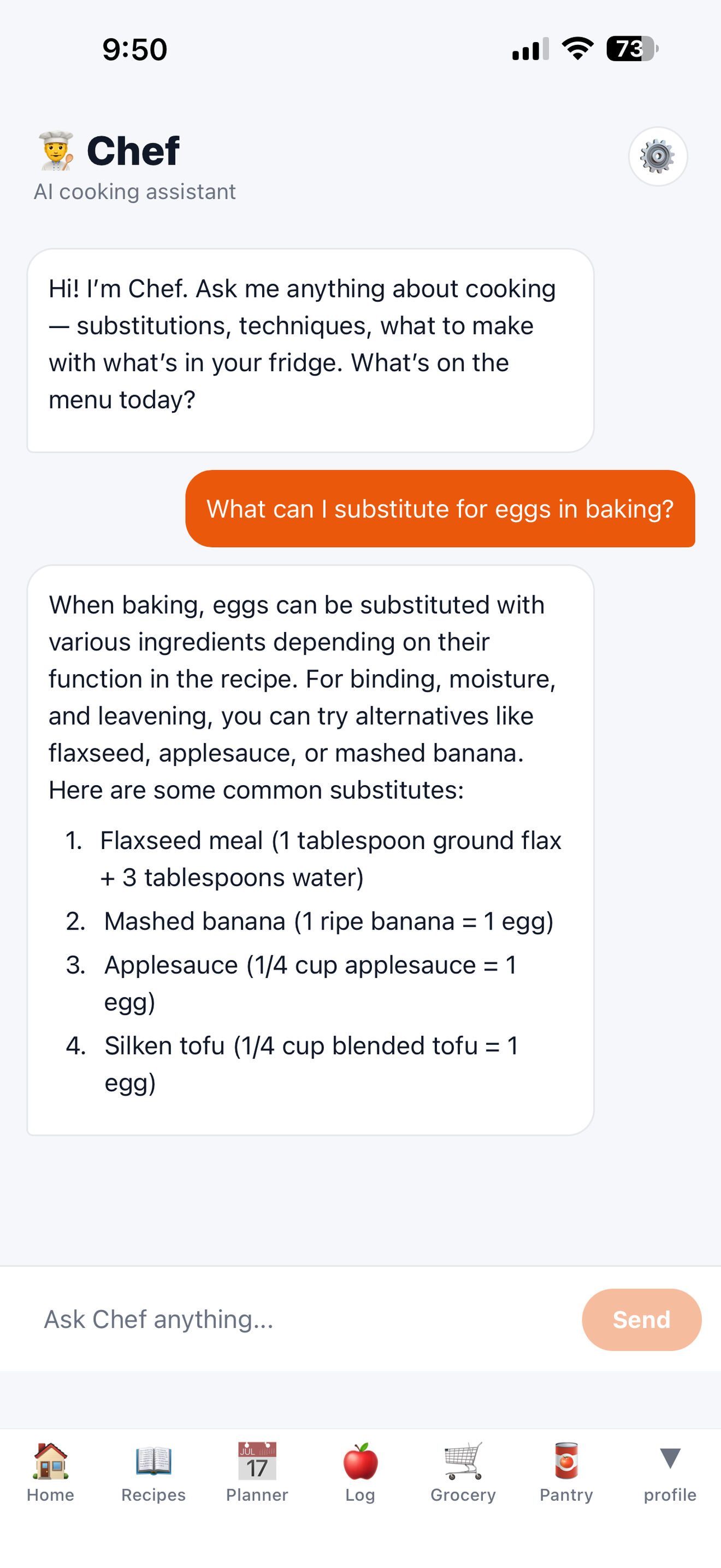 DishBinder Chef AI screen